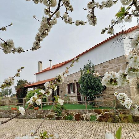 A Casa Do Soito Βίλα Oliveira do Hospital Εξωτερικό φωτογραφία